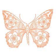 Socialbutterflysf.com